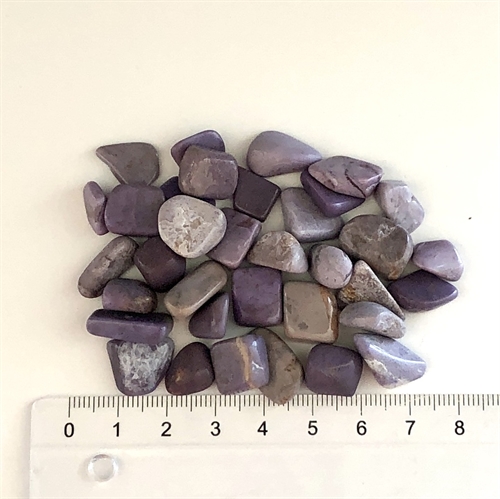 Jade Lavendel Purple små -Diverse 12 stk